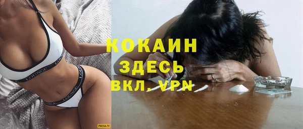 ПСИЛОЦИБИНОВЫЕ ГРИБЫ Магас