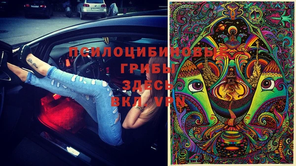 ПСИЛОЦИБИНОВЫЕ ГРИБЫ Магас