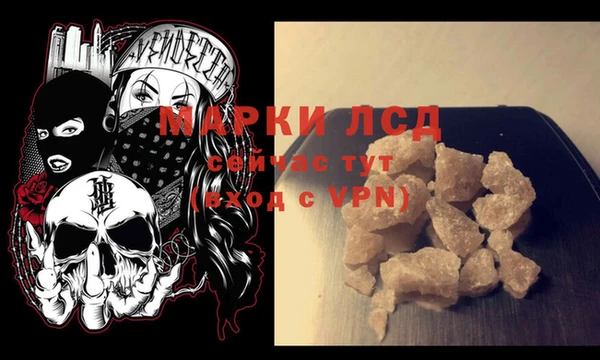 ПСИЛОЦИБИНОВЫЕ ГРИБЫ Магас