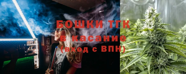 ПСИЛОЦИБИНОВЫЕ ГРИБЫ Магас