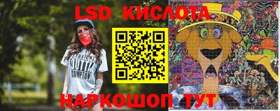 spice Камышлов