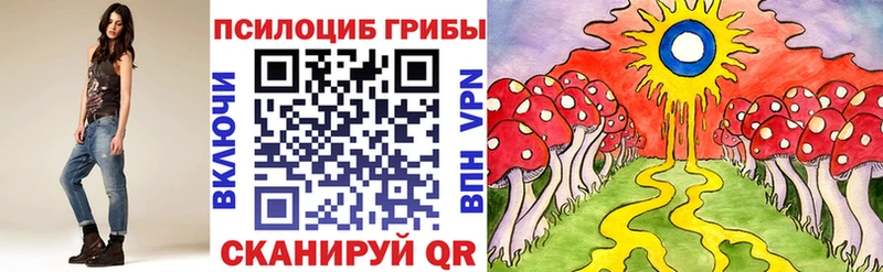 Галлюциногенные грибы Psilocybine cubensis  закладки  omg как войти  Псков 